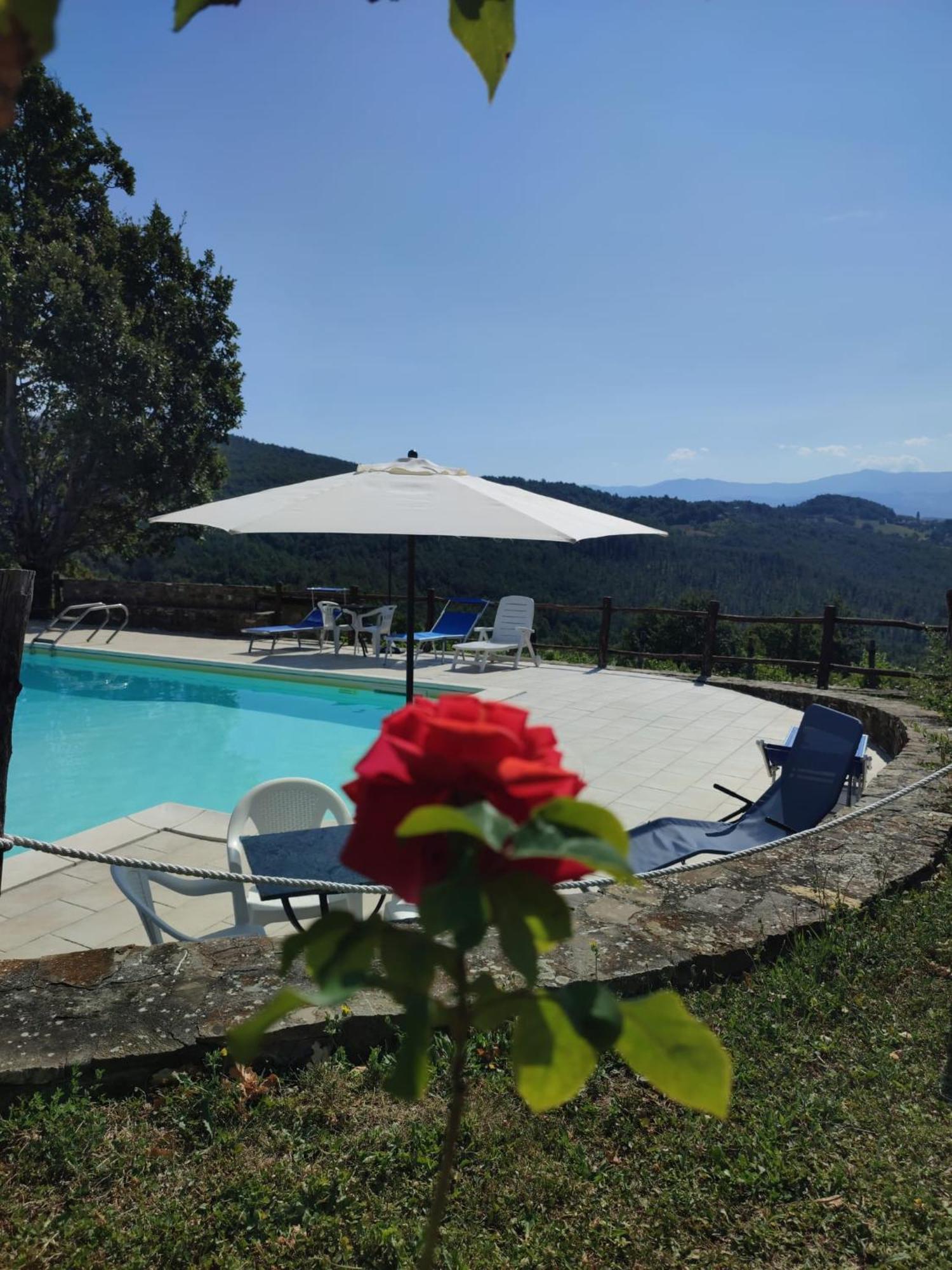 Casa Vacanze Fattoria Il Cerro Villa Pianelleto Екстериор снимка